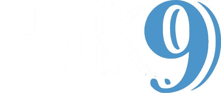 BK9 happy hour in New York