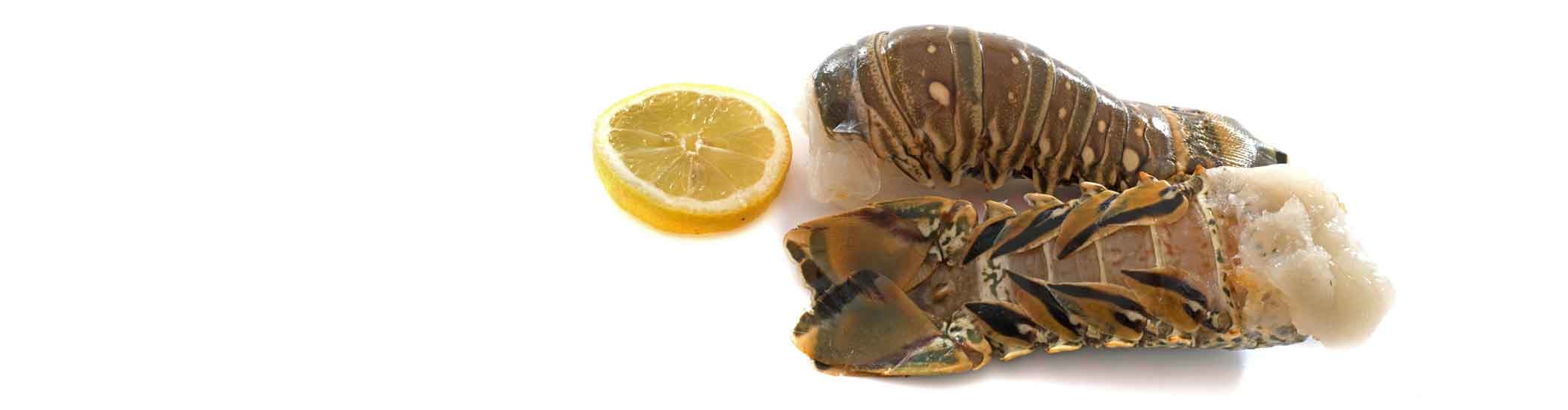 Keys Fisheries happy hour in Miami