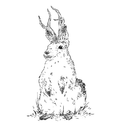 Bar Belly happy hour in New York