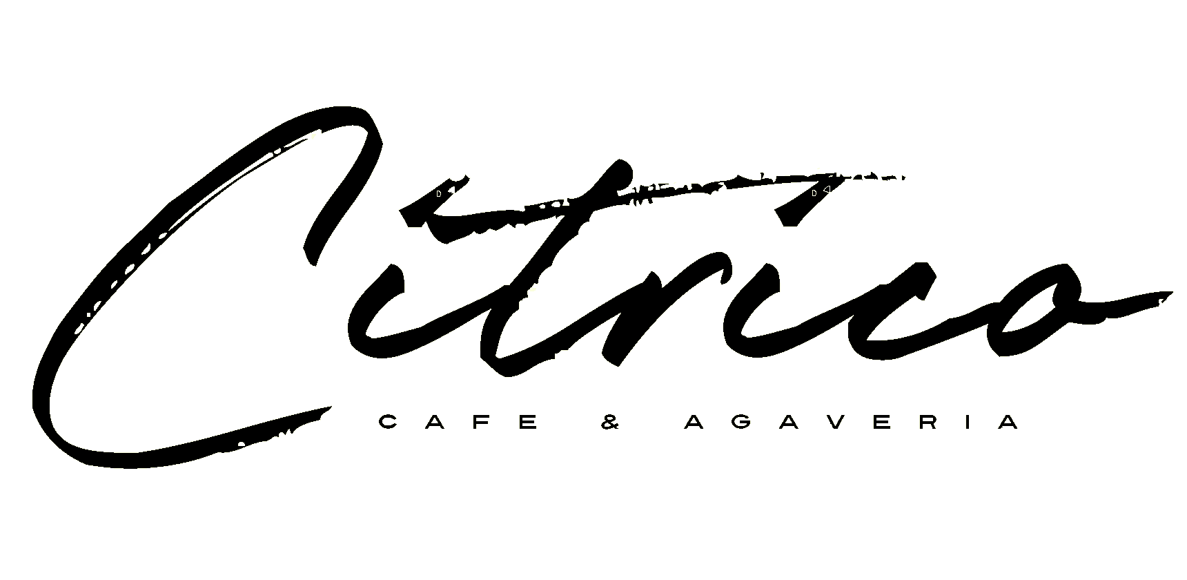 Citrico Cafe happy hour in New York